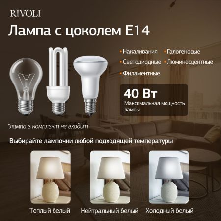 Настольная лампа Rivoli Naomi 7551-501 Б0070139