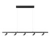 Подвесная светодиодная люстра Loft IT Sign 10260/5 Black