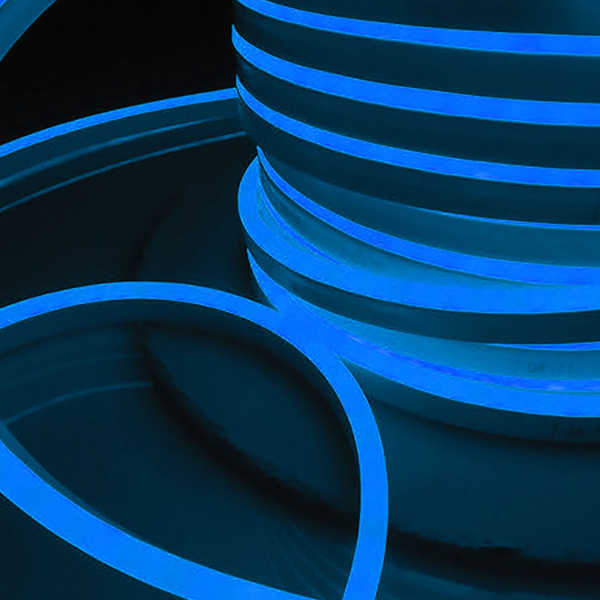 Светодиодный гибкий неон LS001 220V 9.6W 120Led 2835 IP67 односторонний синий Elektrostandard