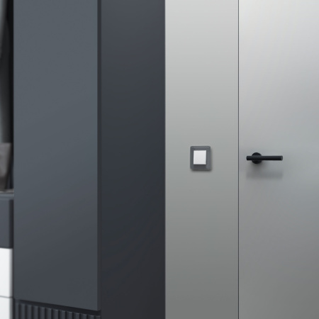 Рамка Werkel Elite на 1 пост графит W0012440