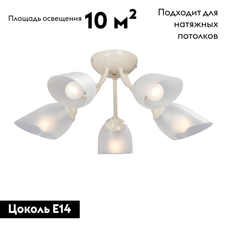 Потолочная люстра Vitaluce V3405/5PL