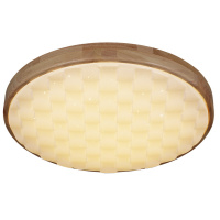 Потолочный светильник Reluce 60530-0.2-60W