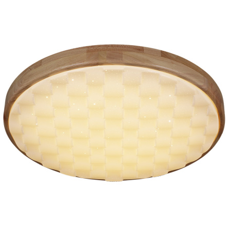 Потолочный светильник Reluce 60530-0.2-60W