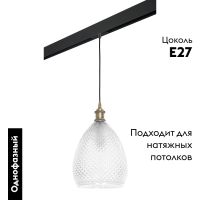 Трековый светильник Lightstar Genni PRO798021 (798021+595007)
