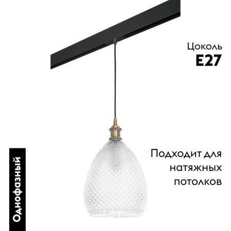 Трековый светильник Lightstar Genni PRO798021 (798021+595007)