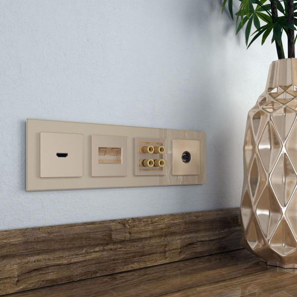 Накладка для двойной розетки Еthernet RJ-45 (шампань) W1191111 Werkel