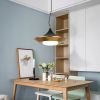Подвесной светильник ImperiumLoft Rask 151756-26