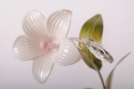 Бра Abrasax STY40032/1В