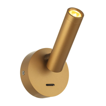 Спот Citilux Dekart CL704102