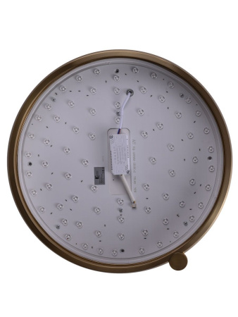 Потолочный светильник Zortes Gimpel ZRS.1209.17