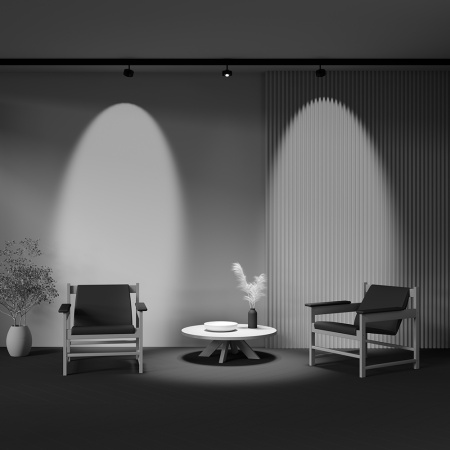 Трековый магнитный светильник Maytoni Lens TR217-2-15W4K-B