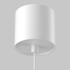 Подвесной светильник Maytoni Vol P100PL-20W3K-W