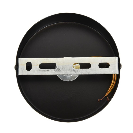 Люстра на штанге Lumion Moderni Elrona 8375/9C