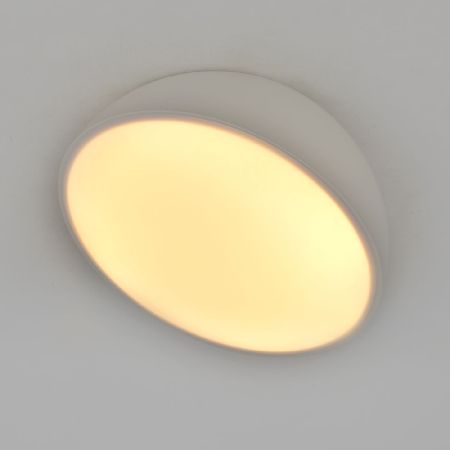 Потолочный светильник Escada 20025SMA/01LED WH
