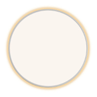 Потолочный светильник Citilux Norma CL748600