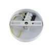Подвесной светильник Lumion Suspentioni Bonbones 8257/1