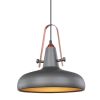 Светильник Lussole Loft LSP-9814 серый