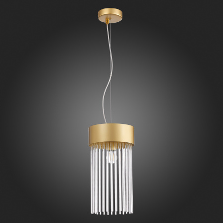 Подвесной светильник ST Luce Contatto SL1225.203.01