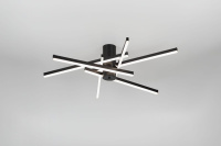 Потолочный светильник Rivoli Violet 6180-201