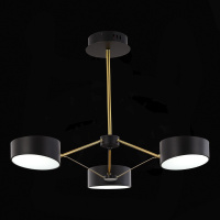 Потолочный светильник Evoluce Valle SLE6005-402-03