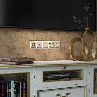 Накладка для двойной розетки Еthernet RJ-45 (шампань) W1191111 Werkel