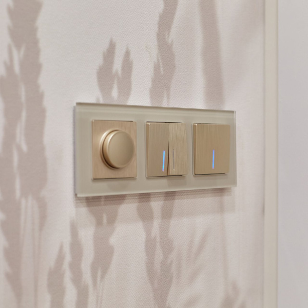 Диммер шампань рифленый WL10-DM600 Werkel