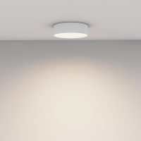 Потолочный светильник Maytoni Technical Ceiling Zon C032CL-24W4K-RD-W