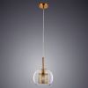 Подвесной светильник Arte Lamp Manchester A7620SP-1AB