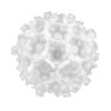 Потолочный светильник Loft IT Clizia 10595/780C White