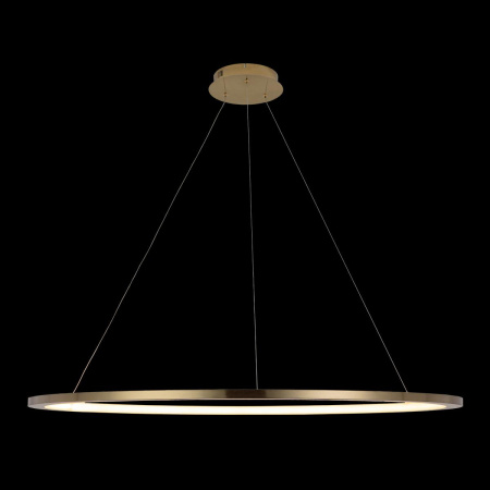 Подвесной светодиодный светильник Loft IT Ring 10014XXL