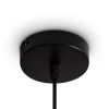 Подвесной светильник Freya Topi FR5503PL-01B