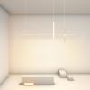Подвесной светильник ImperiumLoft Squirrel 220661-23