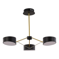 Потолочный светильник Evoluce Valle SLE6005-402-03