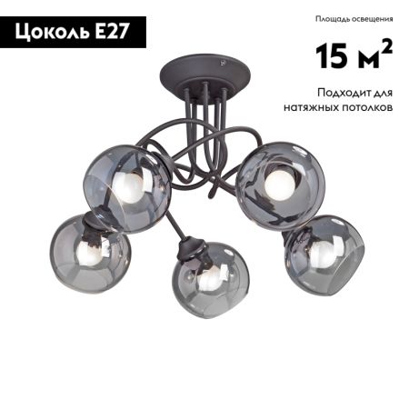 Потолочная люстра Vitaluce V4309-1/5PL