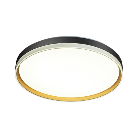 Настенно-потолочный светильник Sonex Pale Savi 7619/ELN