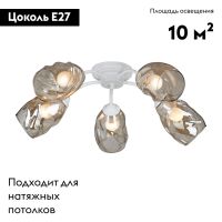 Потолочная люстра Vitaluce V4929-0/5PL