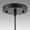 Подвесной светильник Lumion Suspentioni Leonela 8052/1A