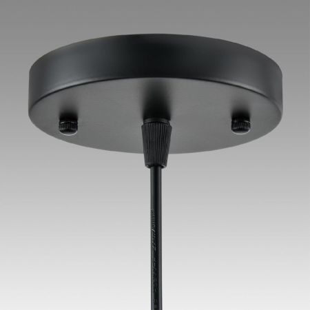 Подвесной светильник Lumion Suspentioni Leonela 8052/1A