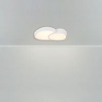 Потолочный светильник Freya Modesty FR6079CL-L72W