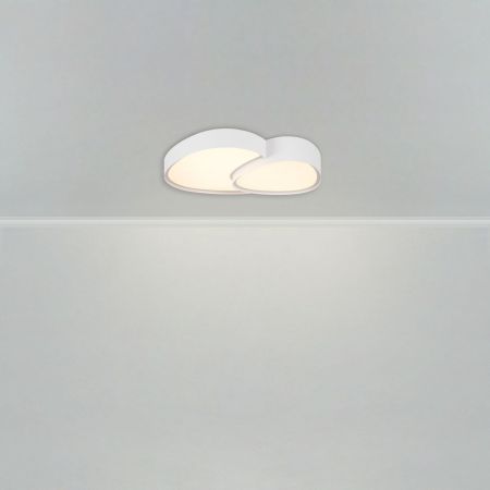 Потолочный светильник Freya Modesty FR6079CL-L72W