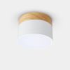 Потолочный светильник ImperiumLoft Wood 141161-26