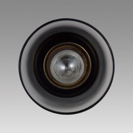 Подвесной светильник Lumion Isha 8101/1A