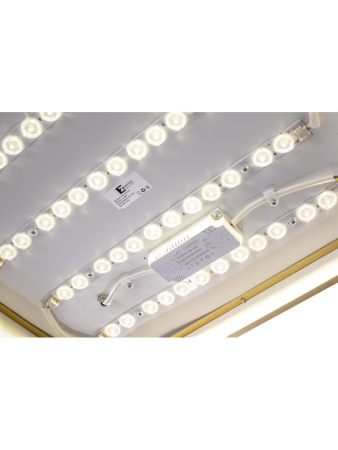 Потолочный светильник Zortes Monna ZRS.1209.03