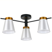 Потолочный светильник Escada Ambient ES0000056