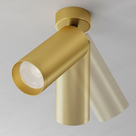 Потолочный светильник Maytoni Technical Focus C017CW-01MG-N