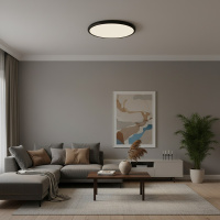 Потолочный светильник  LOFT IT Sweety 10454/500 Black