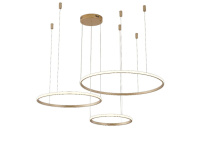 Подвесная люстра Zortes Ringolight ZRS.33325.75F