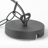 Подвесная люстра Lussole Idaho SY7898