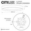 Потолочный светильник Citilux Etalon CL750321R