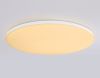 Потолочный светильник Ambrella Light Orbital Dance FZ2003